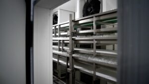 Fase di conservazione del ghiaccio alimentare in ambiente refrigerato controllato